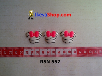 rsn 557  large2